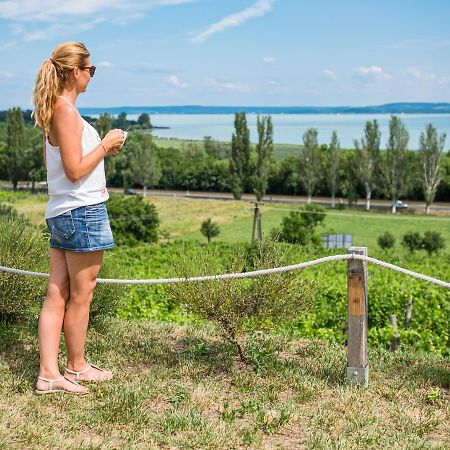 Vitis Kuria 7171 Balatonrendes Ξενοδοχείο Εξωτερικό φωτογραφία